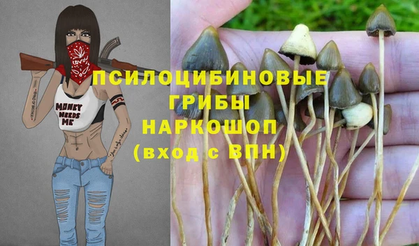 гидра Абдулино